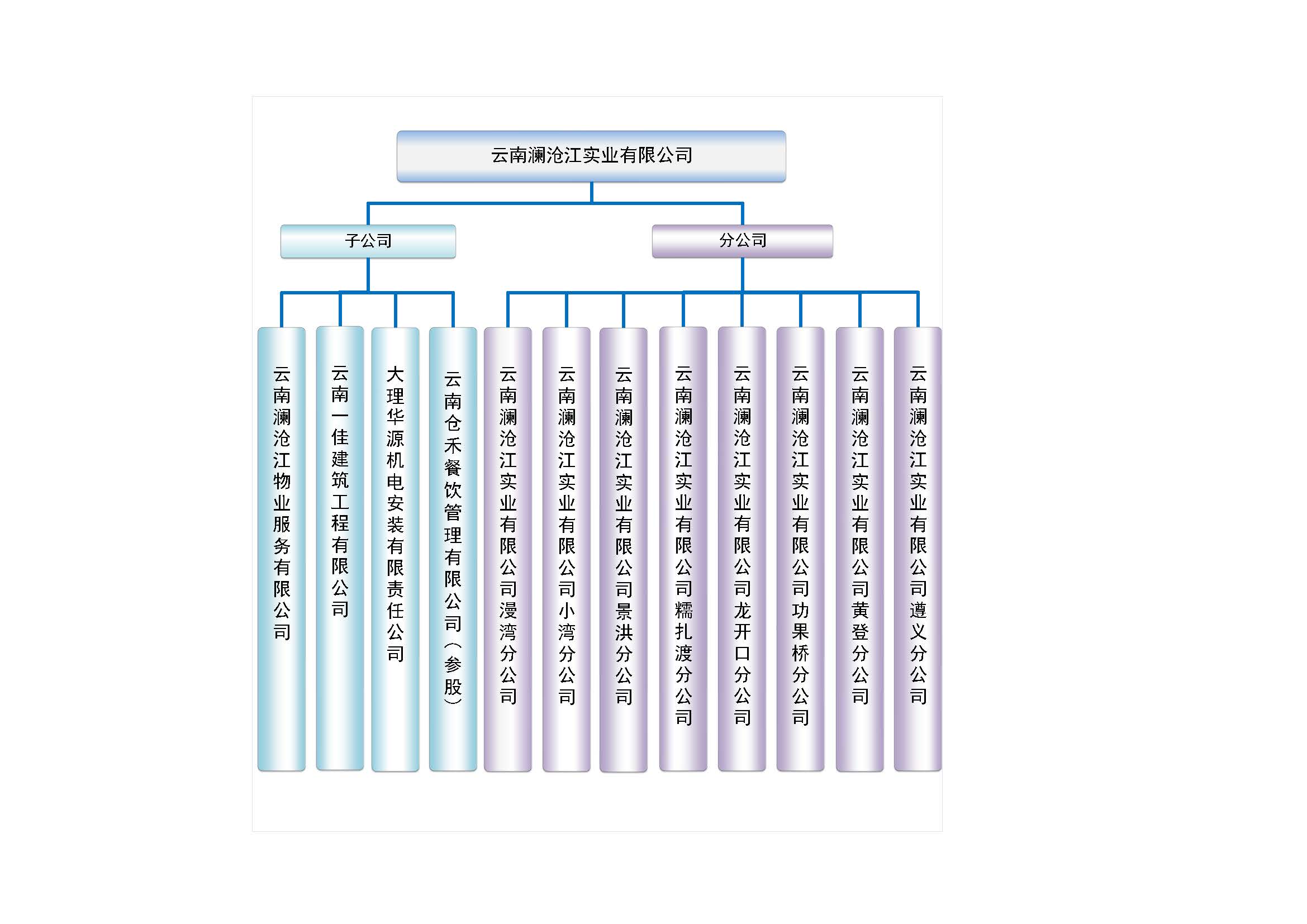 澜沧江实业组织架构图（2022.11.29）.jpg